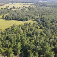 Sampson Farm Recreational Tract 573 - Ac Jackson County FL images 2