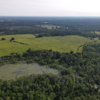 Sampson Farm Recreational Tract 573 - Ac Jackson County FL images 3