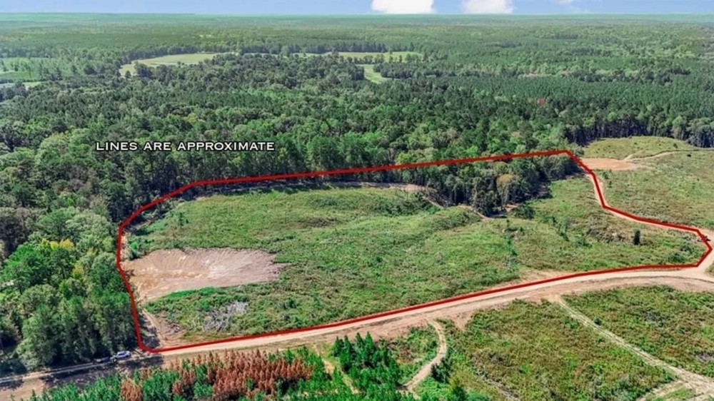 Small Hunting Tract in Amite County MS featured image