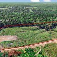 Small Hunting Tract in Amite County MS images 1
