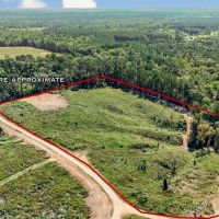 Small Hunting Tract in Amite County MS images 2