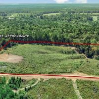 Small Hunting Tract in Amite County MS images 3