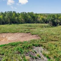 Small Hunting Tract in Amite County MS images 4