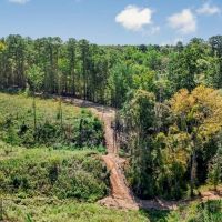 Small Hunting Tract in Amite County MS images 5