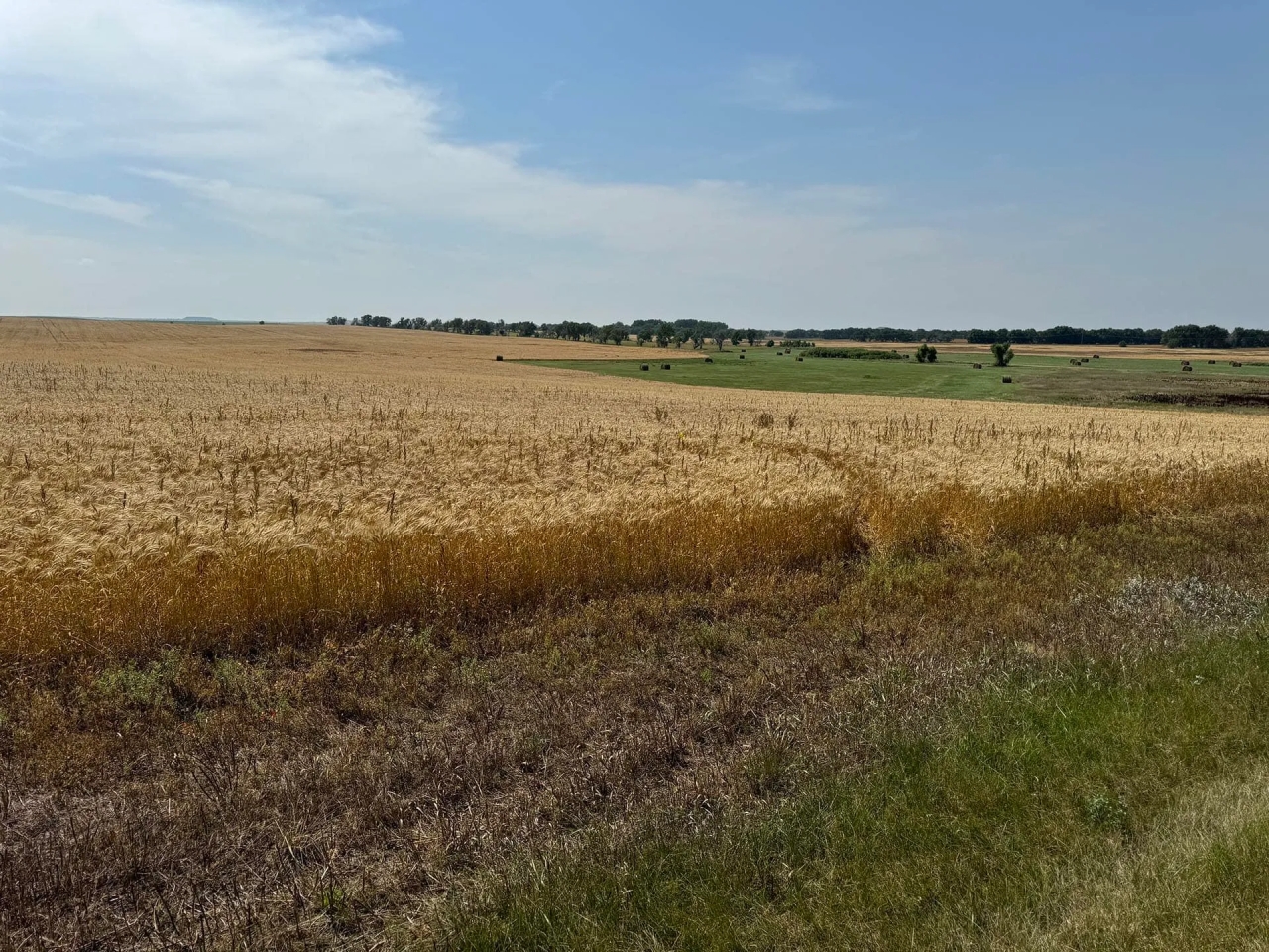Dewey County Land Hunting Land for Sale
