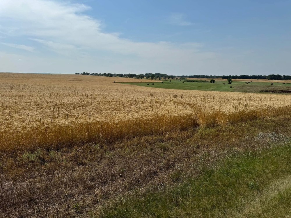 Dewey County Land Hunting Land for Sale