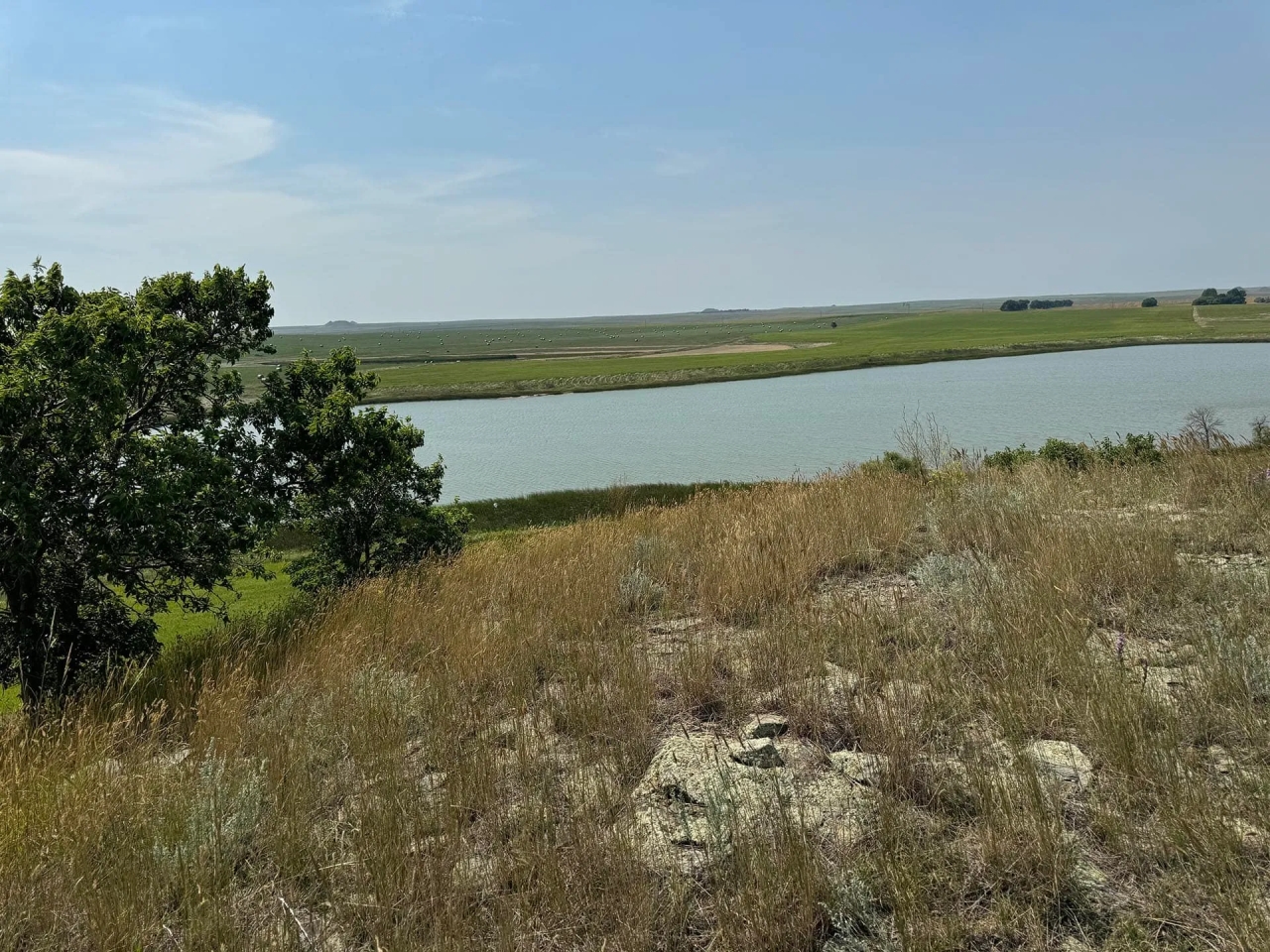 Dewey County Land Hunting Land for Sale