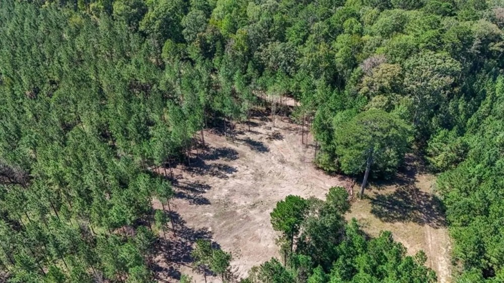 Turnkey Property in Amite County Connected to Caston Creek featured image