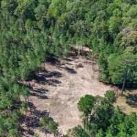 Turnkey Property in Amite County Connected to Caston Creek images 1