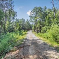 Turnkey Property in Amite County Connected to Caston Creek images 3