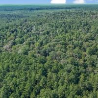 Turnkey Property in Amite County Connected to Caston Creek images 4