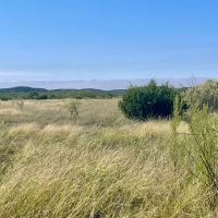 New Listing 15.26 Acres Taylor County images 2