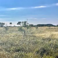 New Listing 15.26 Acres Taylor County images 3