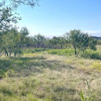 New Listing 15.26 Acres Taylor County images 4