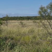 New Listing 15.26 Acres Taylor County images 5