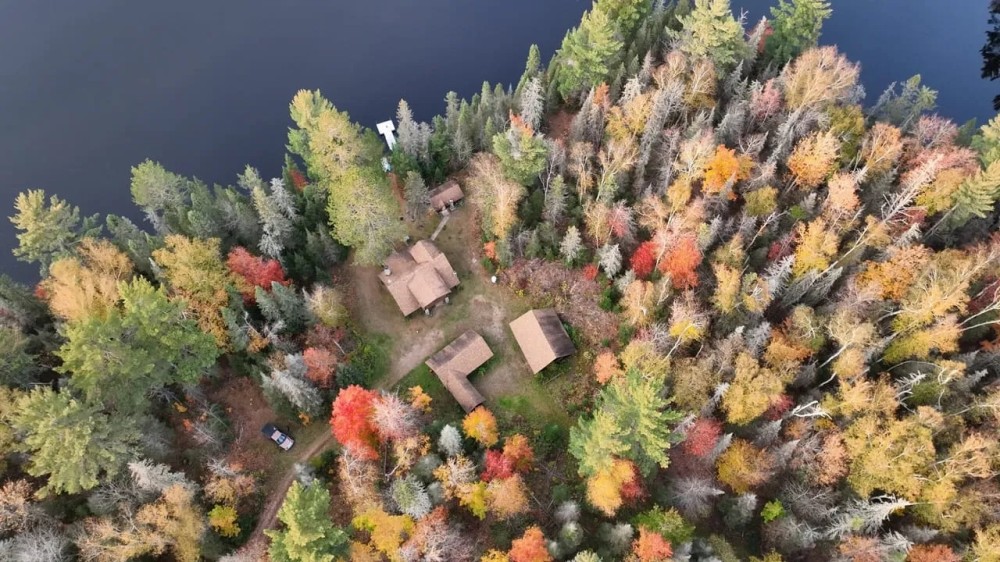 Log Cabin Home on 155 acres 50158643 featured image