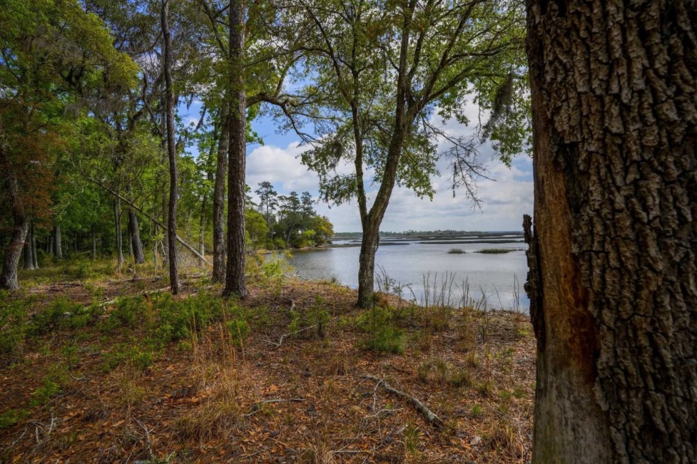 Sheffield Island on Sadlers Creek Bluff featured image