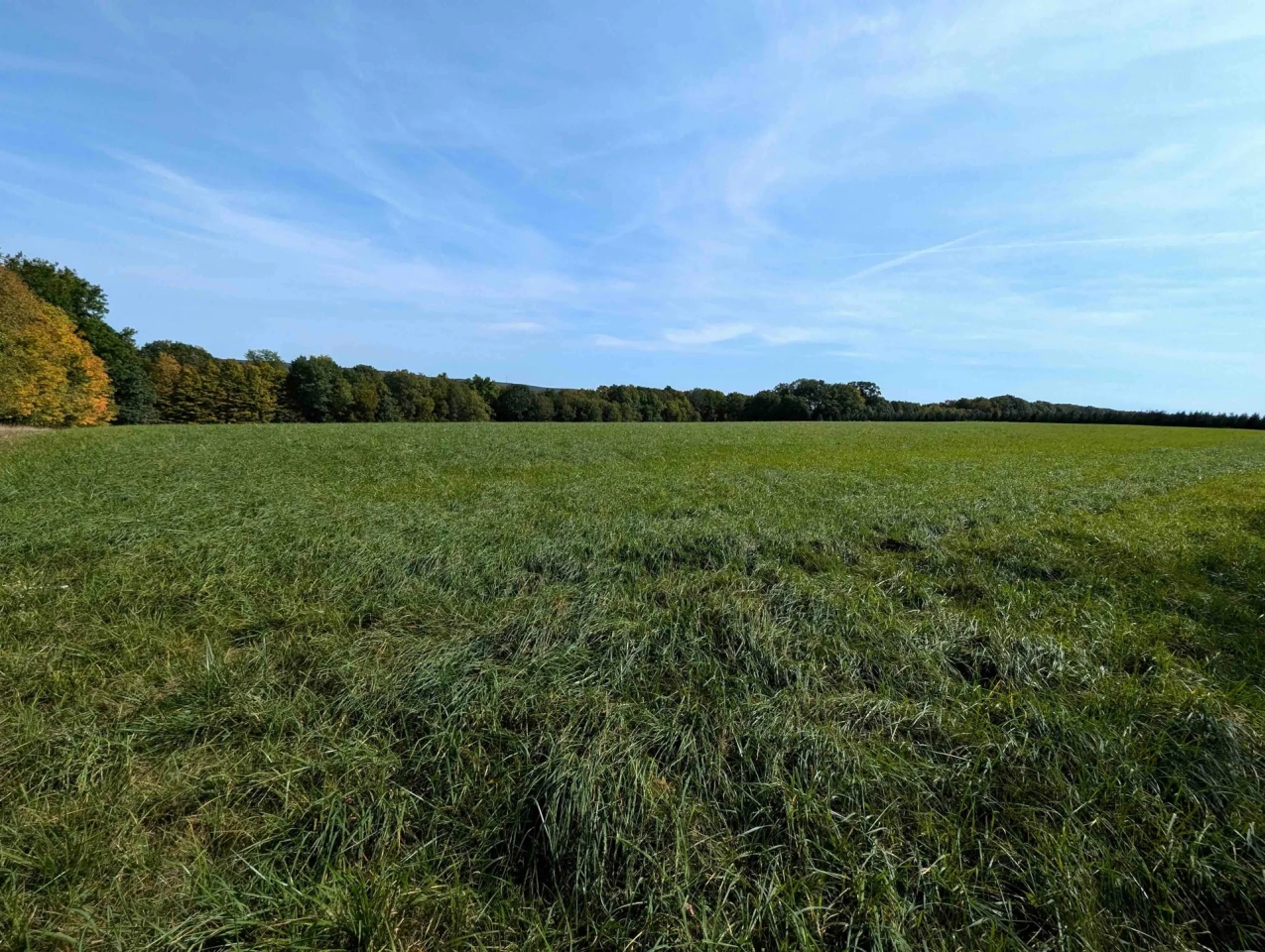 85 acres Hunting and Recreational Land with Pavilion and Camping Site