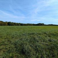 85 acres Hunting and Recreational Land with Pavilion and Camping Site in Dansville NY Stage Rd images 4