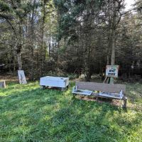 85 acres Hunting and Recreational Land with Pavilion and Camping Site in Dansville NY Stage Rd images 5