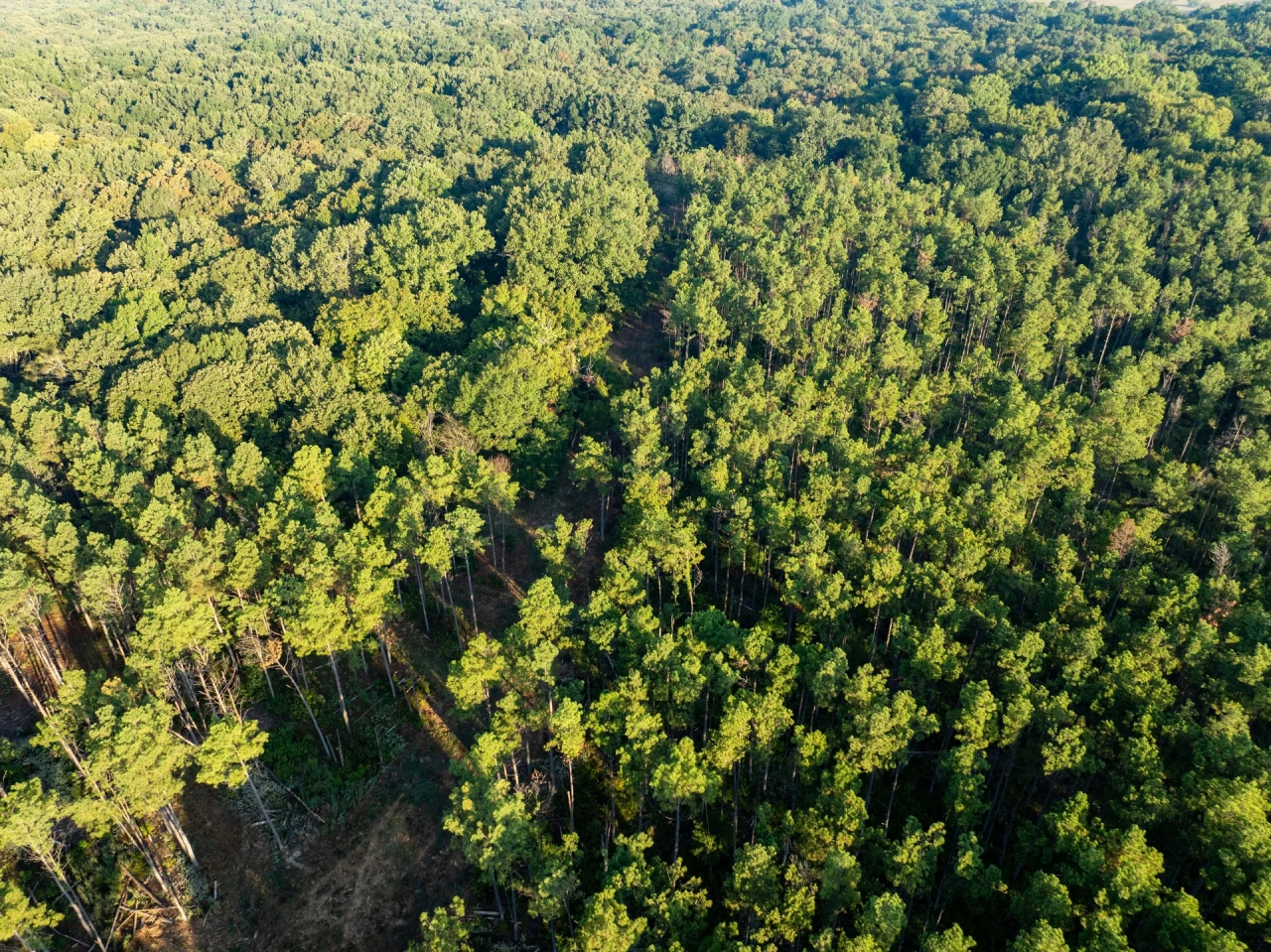 Twisted Osage Ranch Hunting Land for Sale