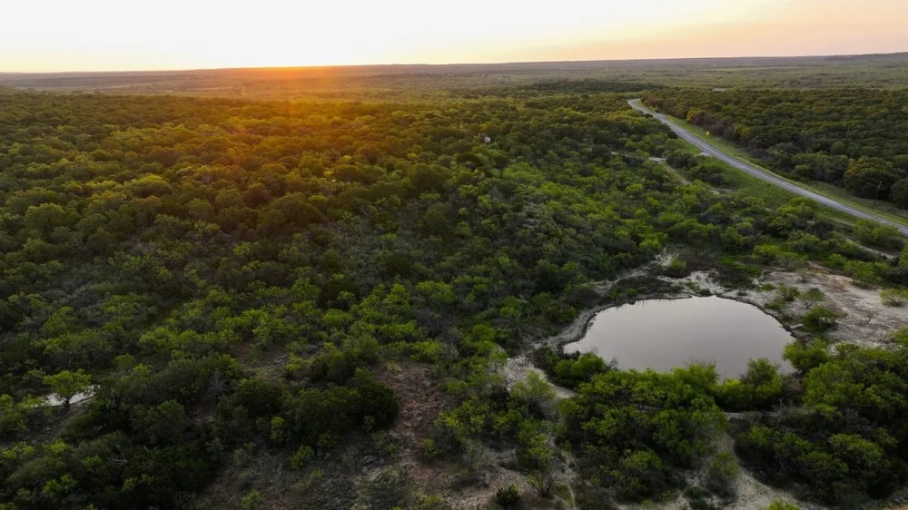 Brower Ranch featured image
