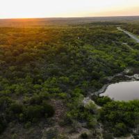 Brower Ranch