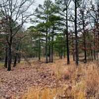 Recreational 28.5 Acres Stringtown OK images 2