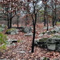 Recreational 28.5 Acres Stringtown OK images 3