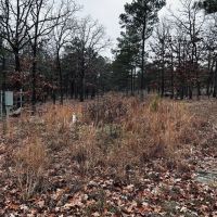 Recreational 28.5 Acres Stringtown OK images 5
