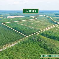 Timber Wildlife and Serenity 64 Acres in Telfair County