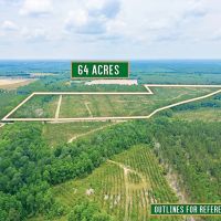 Timber Wildlife and Serenity 64 Acres in Telfair County images 2