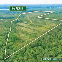 Timber Wildlife and Serenity 64 Acres in Telfair County images 3