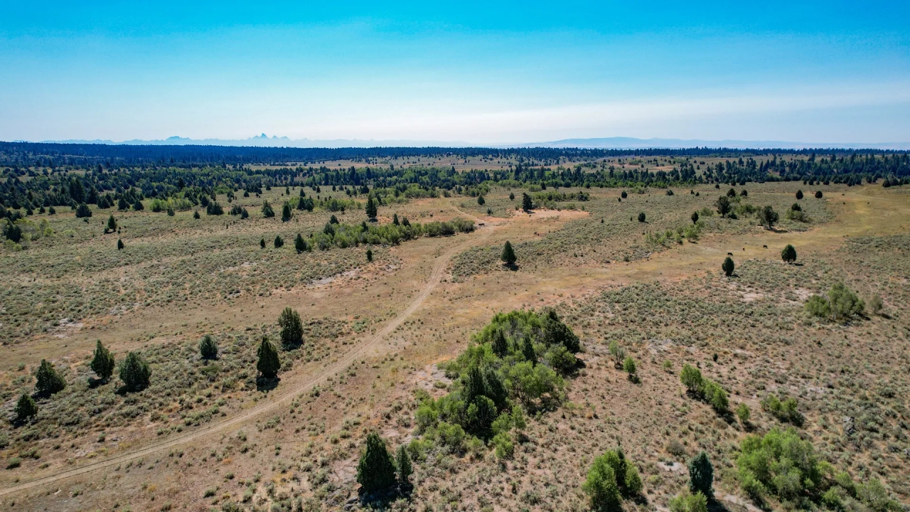 Spring Creek Ranch Hunting Land for Sale