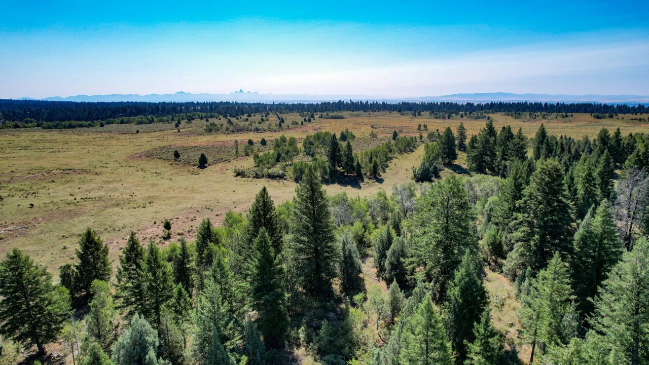 Spring Creek Ranch Hunting Land for Sale