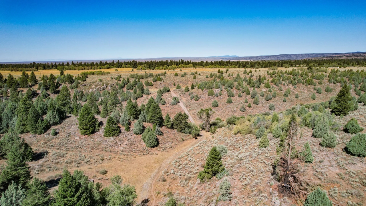 Spring Creek Ranch Hunting Land for Sale
