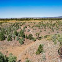 Spring Creek Ranch images 4