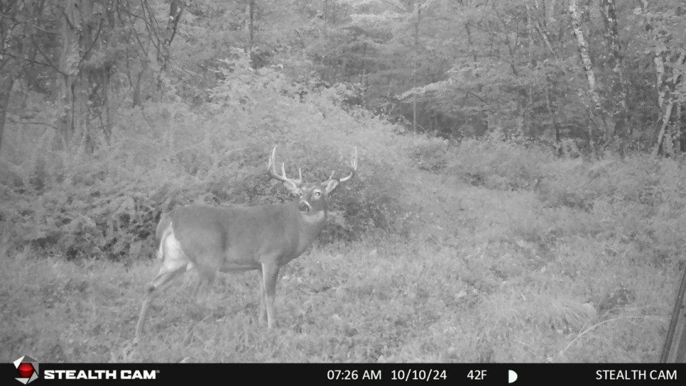 Hunting and Recreational Property for sale in Southwest Wisconsin featured image