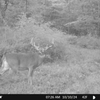 Hunting and Recreational Property for sale in Southwest Wisconsin
