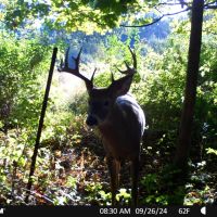 Hunting and Recreational Property for sale in Southwest Wisconsin images 2