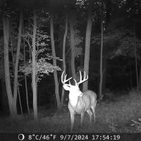 Hunting and Recreational Property for sale in Southwest Wisconsin images 3