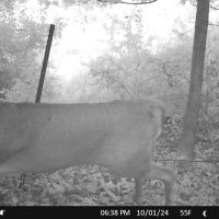 Hunting and Recreational Property for sale in Southwest Wisconsin images 4