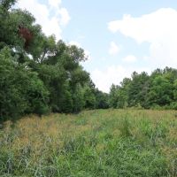 LA - Caldwell 57 acres - images 2