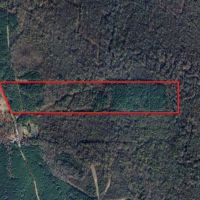 LA - Caldwell 57 acres - images 3