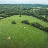 15615 Carthage Dixon MO images 2