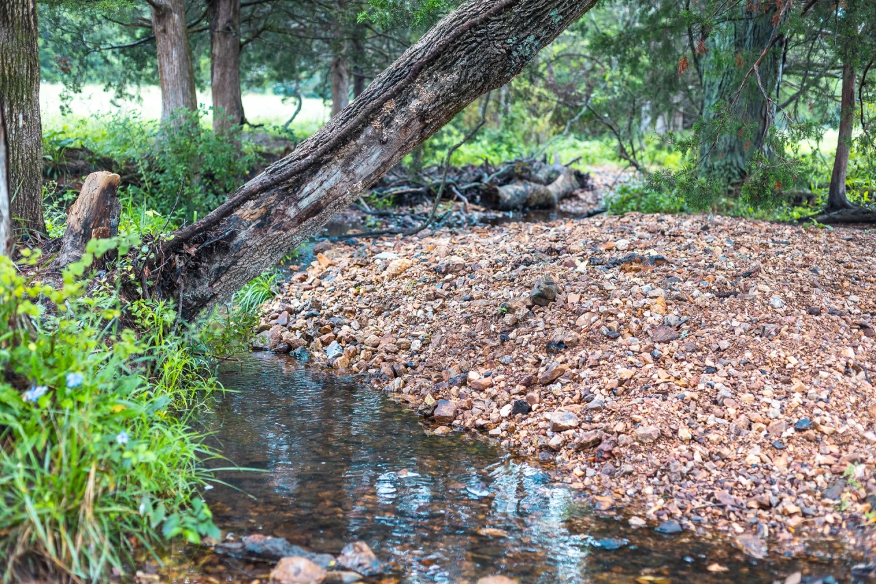 15615 Carthage Dixon MO Hunting Land for Sale