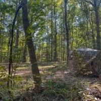 78 Acres in Yazoo County in Bentonia MS images 3