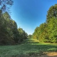 78 Acres in Yazoo County in Bentonia MS images 5