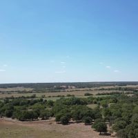 Hunting Ranch For Sale 160 Acre Bray OK Stephens Co. images 3