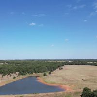 Hunting Ranch For Sale 160 Acre Bray OK Stephens Co. images 5